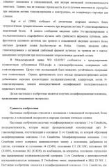 Модифицированная ксиланаза (патент 2394909)