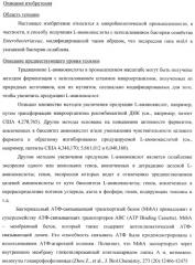 Способ получения l-треонина с использованием бактерии, принадлежащей к роду escherichia, в которой инактивирован ген msba (патент 2392313)