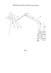 Рабочий орган машины для обрезки крон деревьев (патент 2583685)