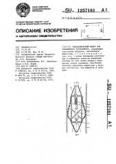 Гидравлический пакер для скважинного расходомера (патент 1257181)