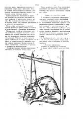 Устройство для фиксации лабораторных животных (патент 695665)