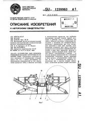 Устройство для ориентированной подачи заготовок в рабочую зону (патент 1238863)