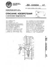 Устройство для очистки жидкости (патент 1318254)