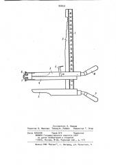 Устройство для разметки ширины карры (патент 953431)