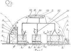 Устройство для выращивания растений (патент 2530936)