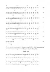 Штамм е. coli bl21(de3)/ptev-tms - продуцент гибридного белка trxtevrs-tms, предназначенного для протеолитического расщепления с образованием антиангиогенного пептида тумастина, производного фрагмента [l69k-95] тумстатина человека, и способ получения рекомбинантного антиангиогенного пептида (патент 2625008)