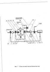 Способ очистки балластных вод (патент 2591965)