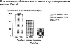 Пробиотические штаммы lactobacillus (варианты) и их применение (патент 2316586)