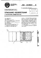 Полузапруда (патент 1019047)