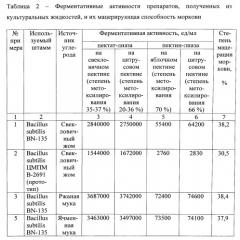 Штамм бактерии bacillus subtilis - высокоактивный продуцент пектолитических ферментов, мацерирующих растительную ткань (патент 2555552)