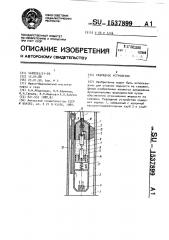 Разрядное устройство (патент 1537899)