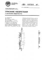 Пневматическая пружина двухстороннего действия (патент 1257315)