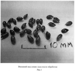 Способ обработки семян льна (патент 2443766)