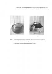 Способ получения микрокапсул пигмента (патент 2635140)