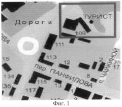 Способ анализа ветвей кроны дерева ели (патент 2495417)