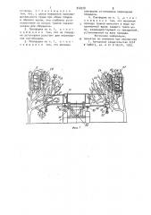 Платформа для сбора плодов и обрезки кроны плодовых деревьев (патент 948328)