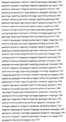 Промотор для тканеспецифической экспрессии генов в герминальных тканях млекопитающих (патент 2459870)