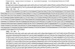 Плазмидный вектор pe-trx-aur, штамм escherichia coli для экспрессии антимикробного пептида аурелина и способ получения указанного пептида (патент 2412999)