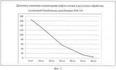 Штамм pseudomonas azotoformans для очистки морских водоемов и прибрежной зоны морских объектов от нефти в условиях высоких широт (патент 2553338)