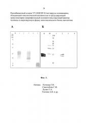 Рекомбинантный штамм vv-gmcsf-s-lact вируса осповакцины, обладающий онколитической активностью и продуцирующий гранулоцитарно-макрофагальный колониестимулирующий фактор человека и секретируемую форму онкотоксического белка лактаптина (патент 2621861)