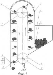 Высаживающий аппарат картофелесажалки (патент 2478275)