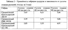 Способ прогнозирования урожайности гибридов кукурузы (патент 2626159)