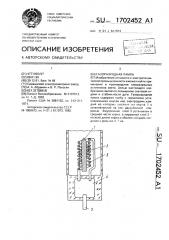 Газоразрядная лампа (патент 1702452)