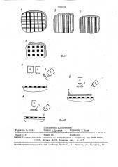 Растр и способ определения деформаций с помощью растра (патент 1649258)