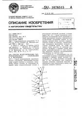 Способ моделирования гидротехнического сооружения б.а.наторхина (патент 1076515)