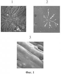 Способ создания фотовольтаических ячеек на основе гибридного нанокомпозитного материала (патент 2532690)