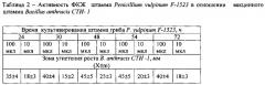 Штамм микромицета penicillium vulpinum f-1523, обладающий антибактериальной активностью в отношении возбудителя сибирской язвы bacillus anthracis (патент 2612150)