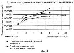 Способ производства варено-копченых колбас (патент 2284115)