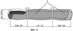Способ возведения прибрежного крепления из фашин биопозитивной конструкции (патент 2569828)