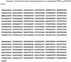 Новые изоформы ингибитора роста васкулярных эндотелиальных клеток (патент 2316591)