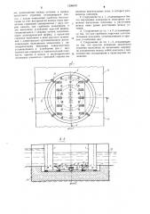 Судопропускное сооружение (патент 1296670)