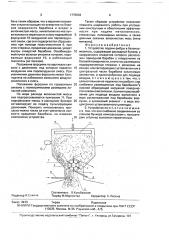 Устройство подачи фибры в бетоносмеситель (патент 1779604)