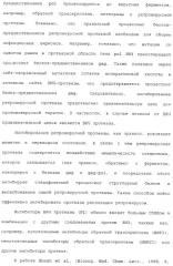 Комбинация ингибиторов цитохром-р450-зависимых протеаз (патент 2329050)