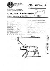 Устройство для подачи овец на зооветобработку (патент 1223864)