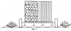 Способ уборки и подготовки капусты к хранению и устройство для его осуществления (патент 2244398)