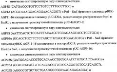 Ген agрopt ангиопоэтина-1 (патент 2385938)