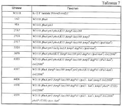 Бактерия е.coli, продуцирующая гетерологичный полипептид, и способ продуцирования полипептида (патент 2287574)