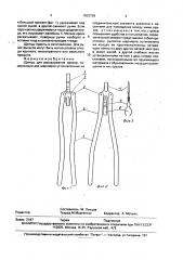 Щипцы для раскалывания орехов (патент 1822739)