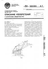 Стреловой кран (патент 1631031)