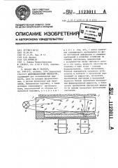 Феррожидкостный индикатор (патент 1123011)