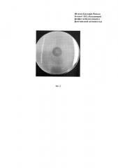 Штамм бактерий pantoea brenneri, обладающий фосфатмобилизующей и фунгицидной активностью (патент 2654595)