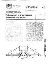 Штанговый распределитель минеральных удобрений (патент 1380651)