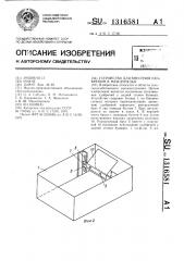 Устройство для внесения удобрений в междурядья (патент 1316581)