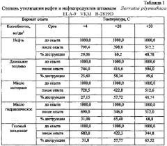 Штамм бактерий serratia plymuthica -деструктор нефти и нефтепродуктов (патент 2560272)