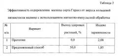 Способ оздоровления от вирусов растений малины, выращиваемых in vitro (патент 2555443)