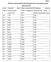 Способ внутриутробного определения функциональной способности аномально развитой почки плода, основанный на определении выраженности компенсаторной гипертрофии здоровой почки (патент 2577456)